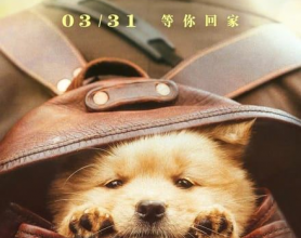 [阿里云盘]忠犬八公 (2023) K SDR+1080P[免费在线观看][免费下载][夸克网盘][4K资源]