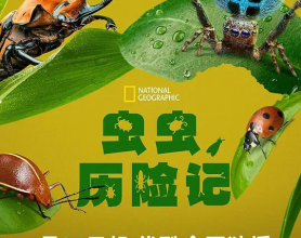 [阿里云盘]虫虫历险记 A Real Bug's Life (2024) 【全5集】 纪录片[免费在线观看][免费下载][夸克网盘][国产影视]