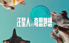 汪星人的奇思妙想（2024）1080p 内封简繁[免费在线观看][免费下载][网盘资源][欧美影视]